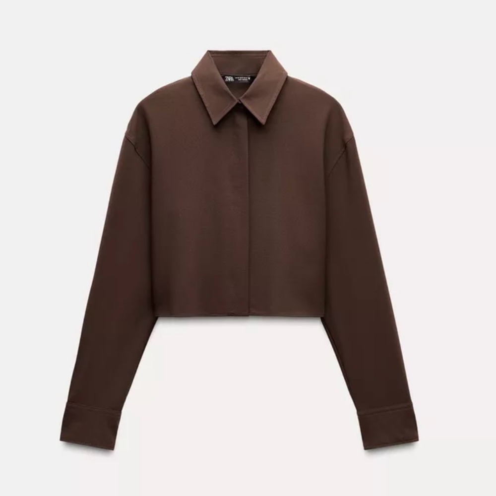 Zara Brown Cropped Button-Up Shirt